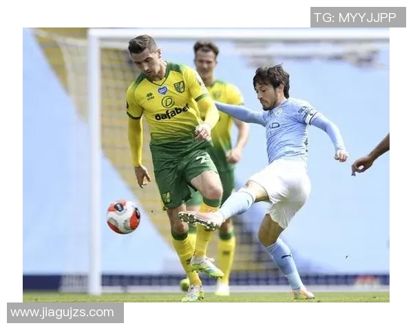 诺维奇足球明星阵容全解析及其在英超的表现与成就